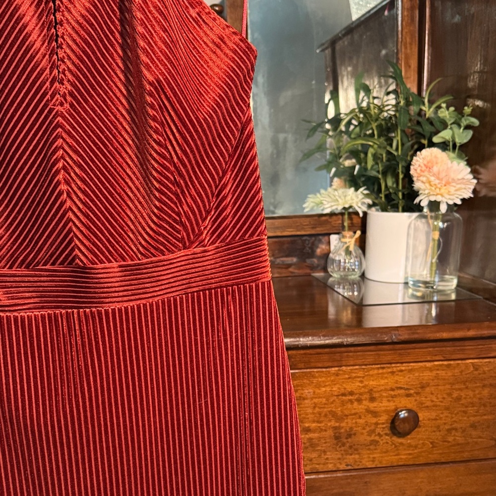 🤎 Dynamite Burnt Orange Velvet Midi Dress — Size M - Picture 4 of 7